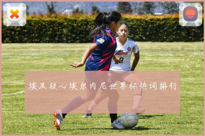 埃及核心埃尔内尼世界杯热词排行