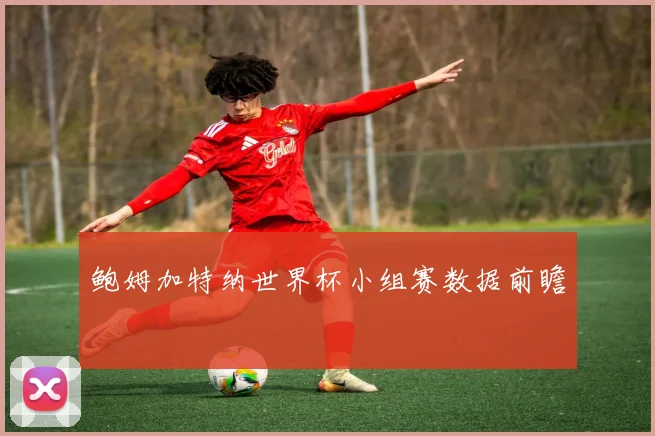 鲍姆加特纳世界杯小组赛数据前瞻