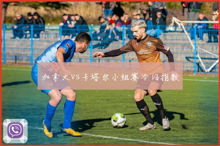 加拿大vs卡塔尔小组赛冷门指数