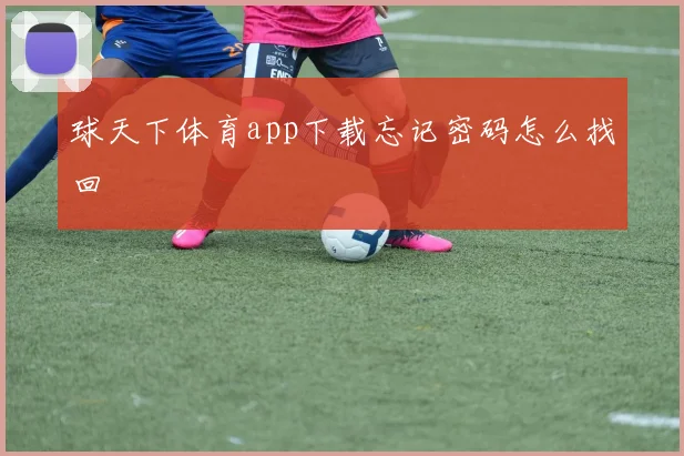 球天下体育app下载忘记密码怎么找回