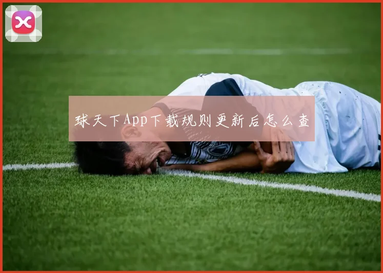 球天下App下载规则更新后怎么查